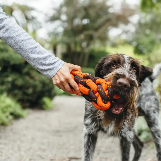 dog toy - honeycomb rope by p.l.a.y.