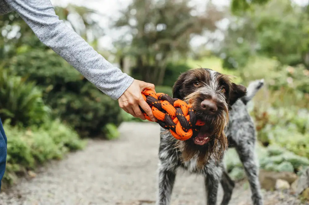 dog toy - honeycomb rope by p.l.a.y.