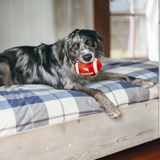 dog plush toy - football by p.l.a.y.