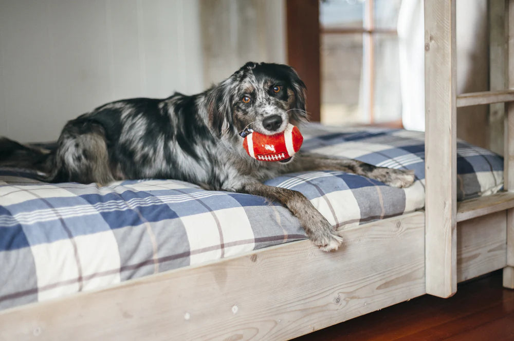 dog plush toy - football by p.l.a.y.