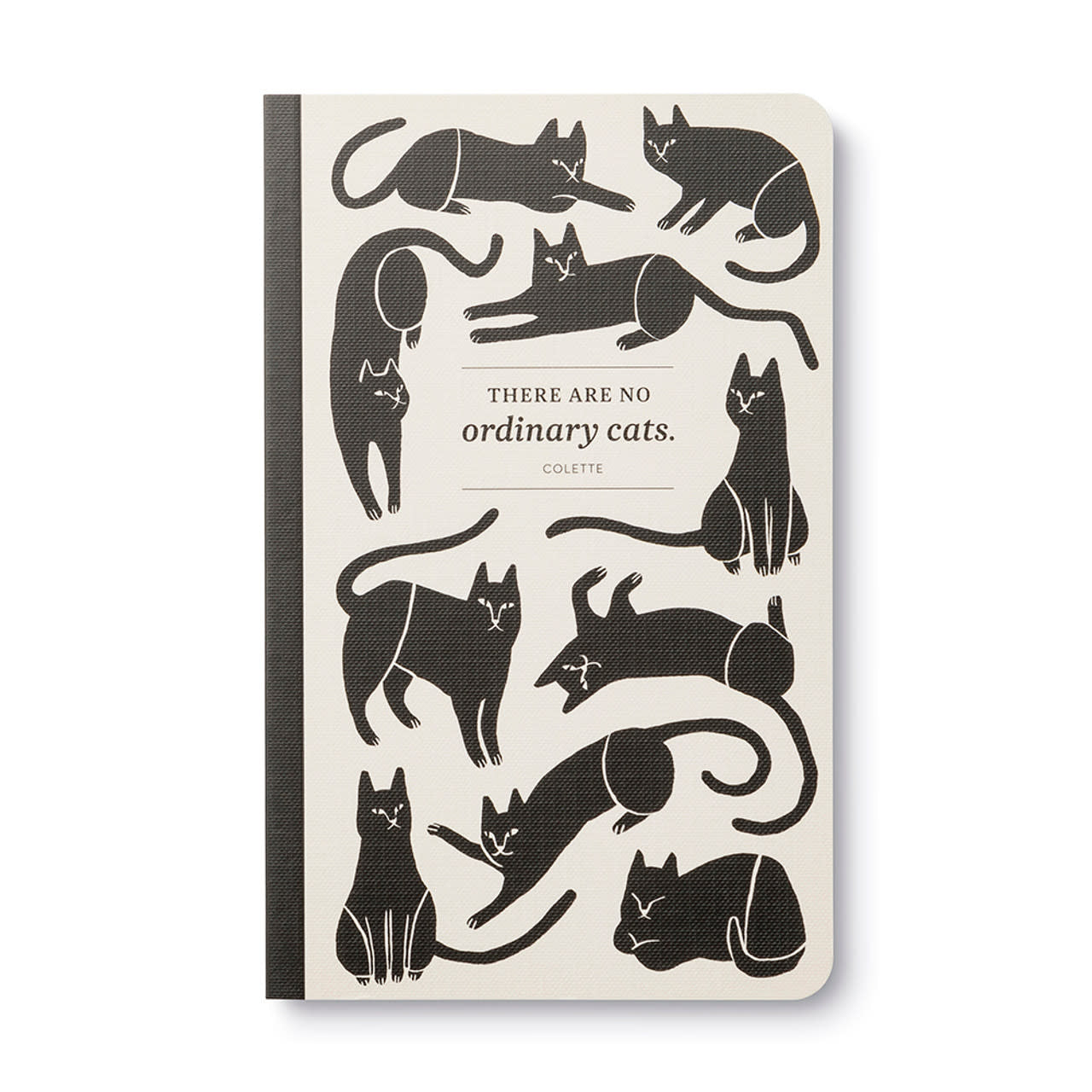 book - "write now" journal - there are no ordinary cats by compendium