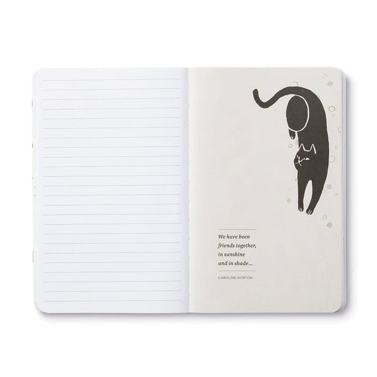 book - "write now" journal - there are no ordinary cats by compendium