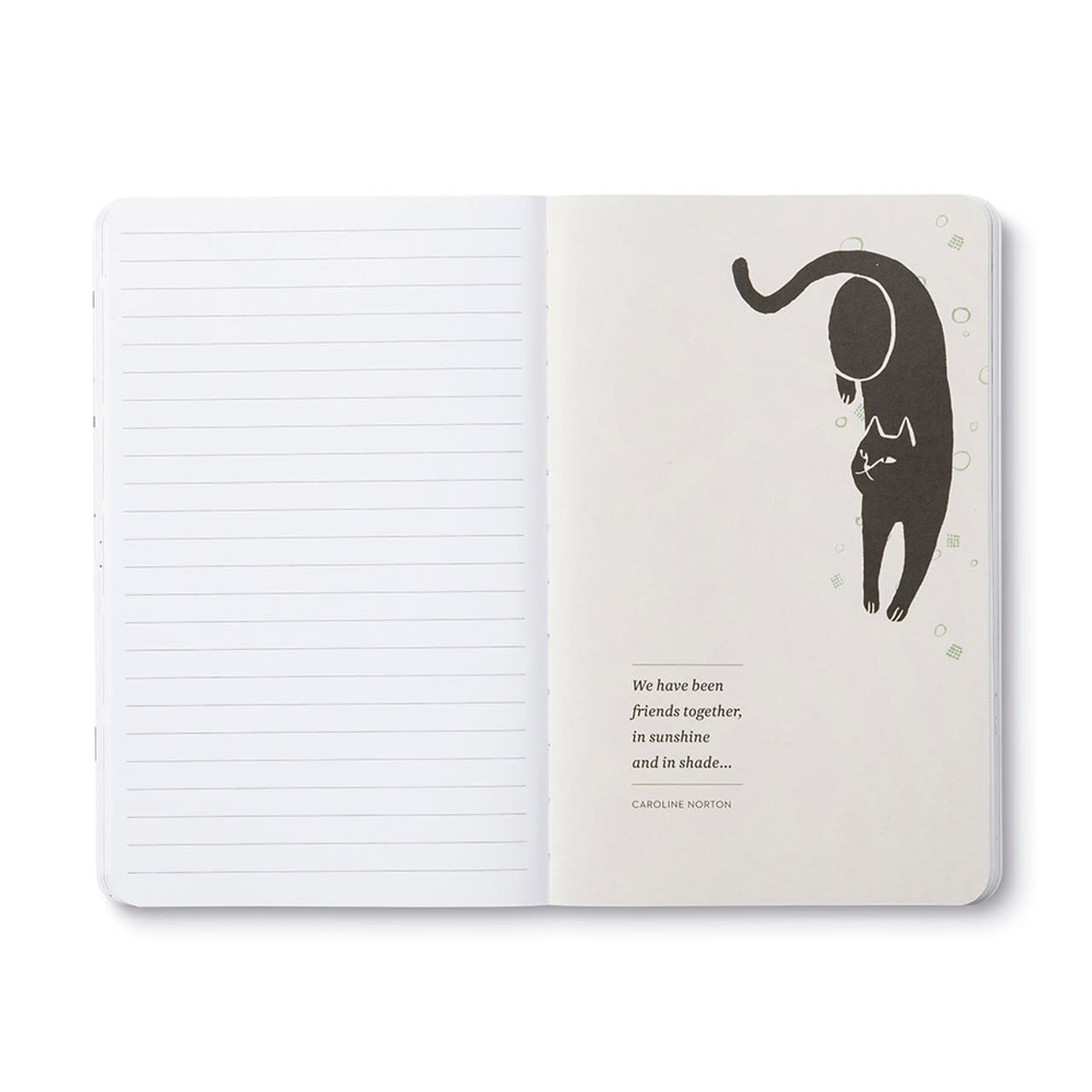 book - "write now" journal - there are no ordinary cats by compendium