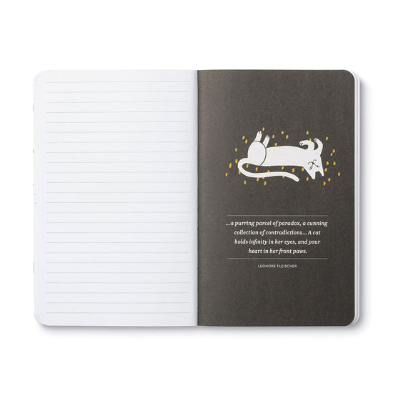 book - "write now" journal - there are no ordinary cats by compendium