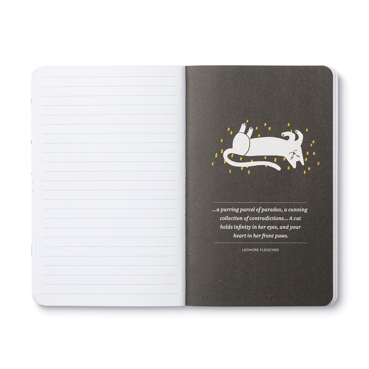 book - "write now" journal - there are no ordinary cats by compendium