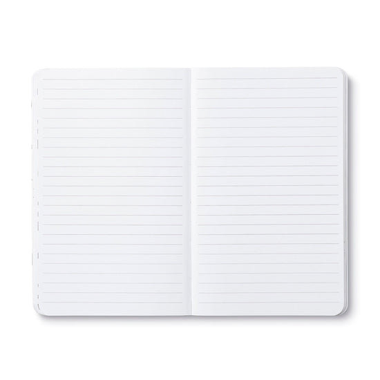 book - "write now" journal - there are no ordinary cats by compendium