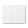 book - "write now" journal - there are no ordinary cats by compendium