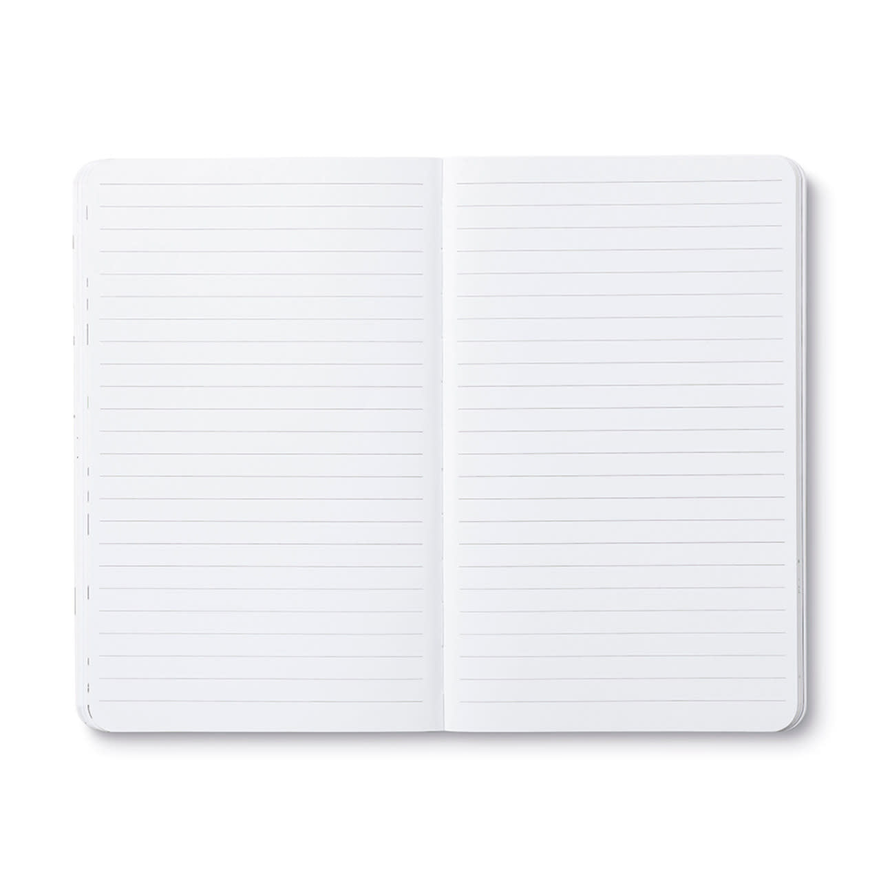book - "write now" journal - there are no ordinary cats by compendium