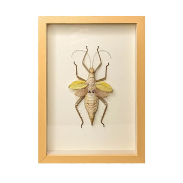 wall art - shadowbox - thorny devil yellow by green beetle shop