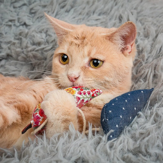cat toy - modern mouse (catnip) by modernbeast