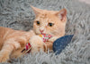 cat toy - modern mouse (catnip) by modernbeast