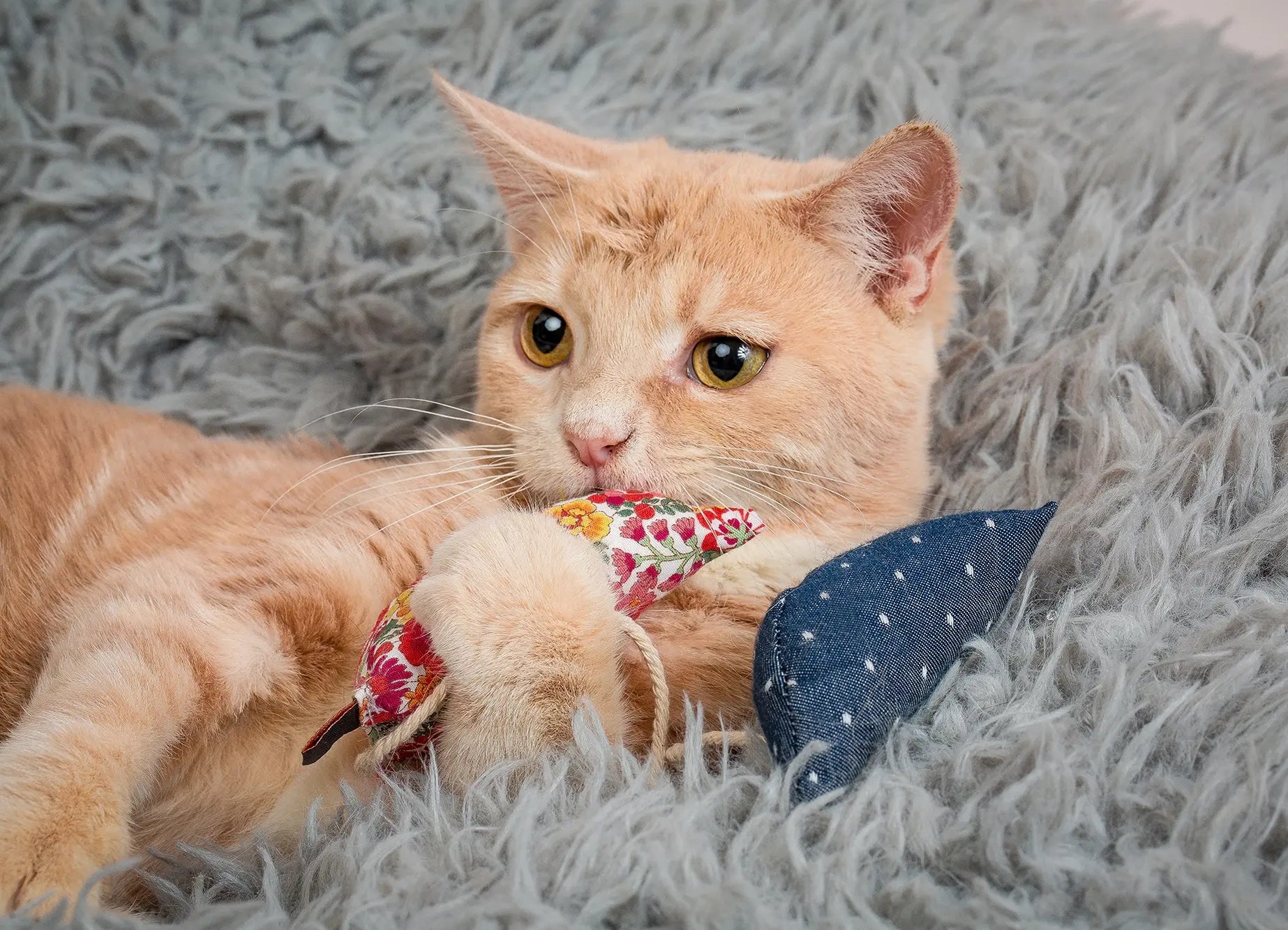 cat toy - modern mouse (catnip) by modernbeast