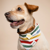 Pet Bandana | Large | Frontier