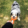 dog toy - tug-o'-war - natural rubber - orange lg by sodapup