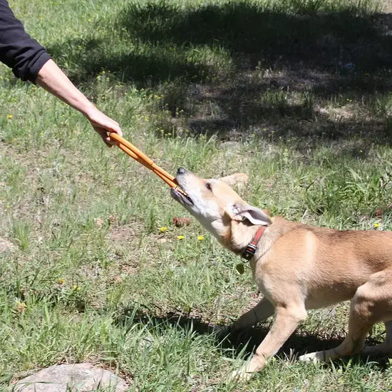 dog toy - tug-o'-war - natural rubber - orange lg by sodapup
