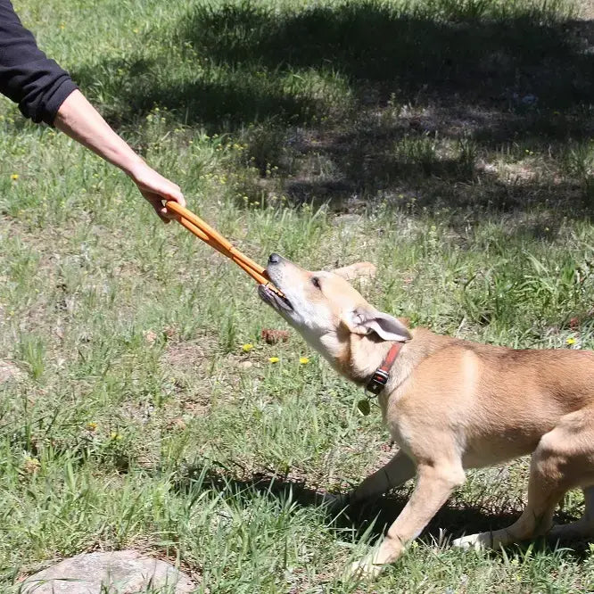 dog toy - tug-o'-war - natural rubber - orange lg by sodapup