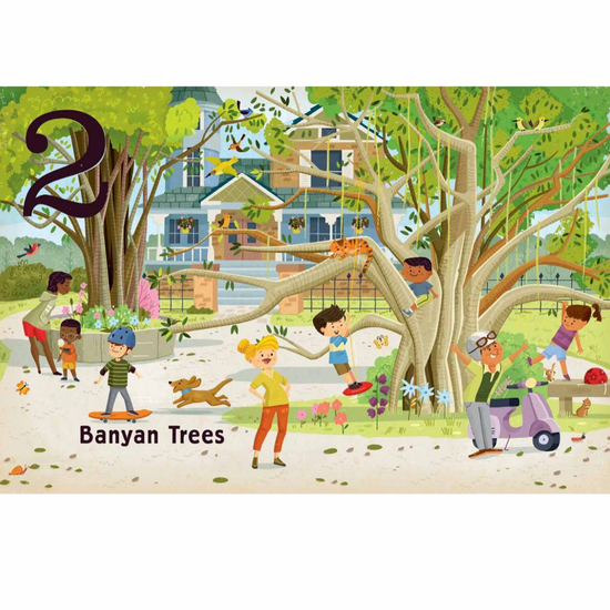 board book - count & find primer - trees by gibbs smith