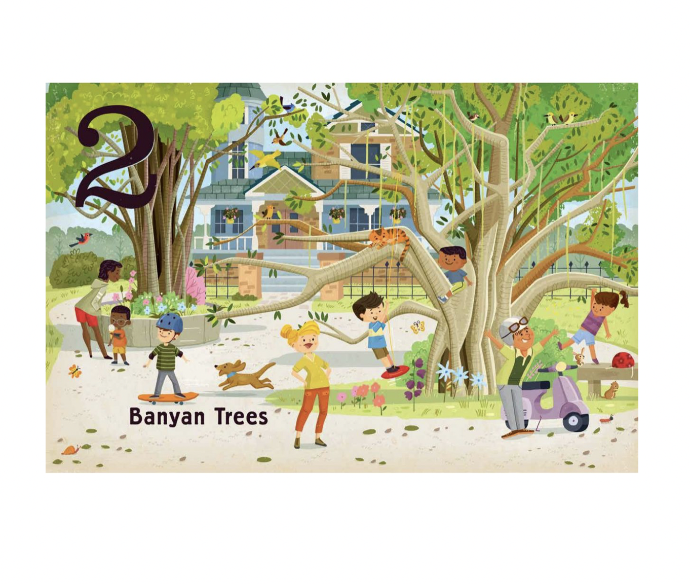 board book - count & find primer - trees by gibbs smith