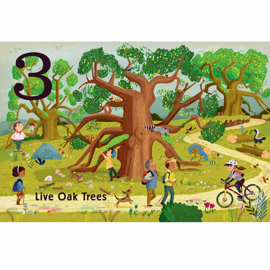 board book - count & find primer - trees by gibbs smith
