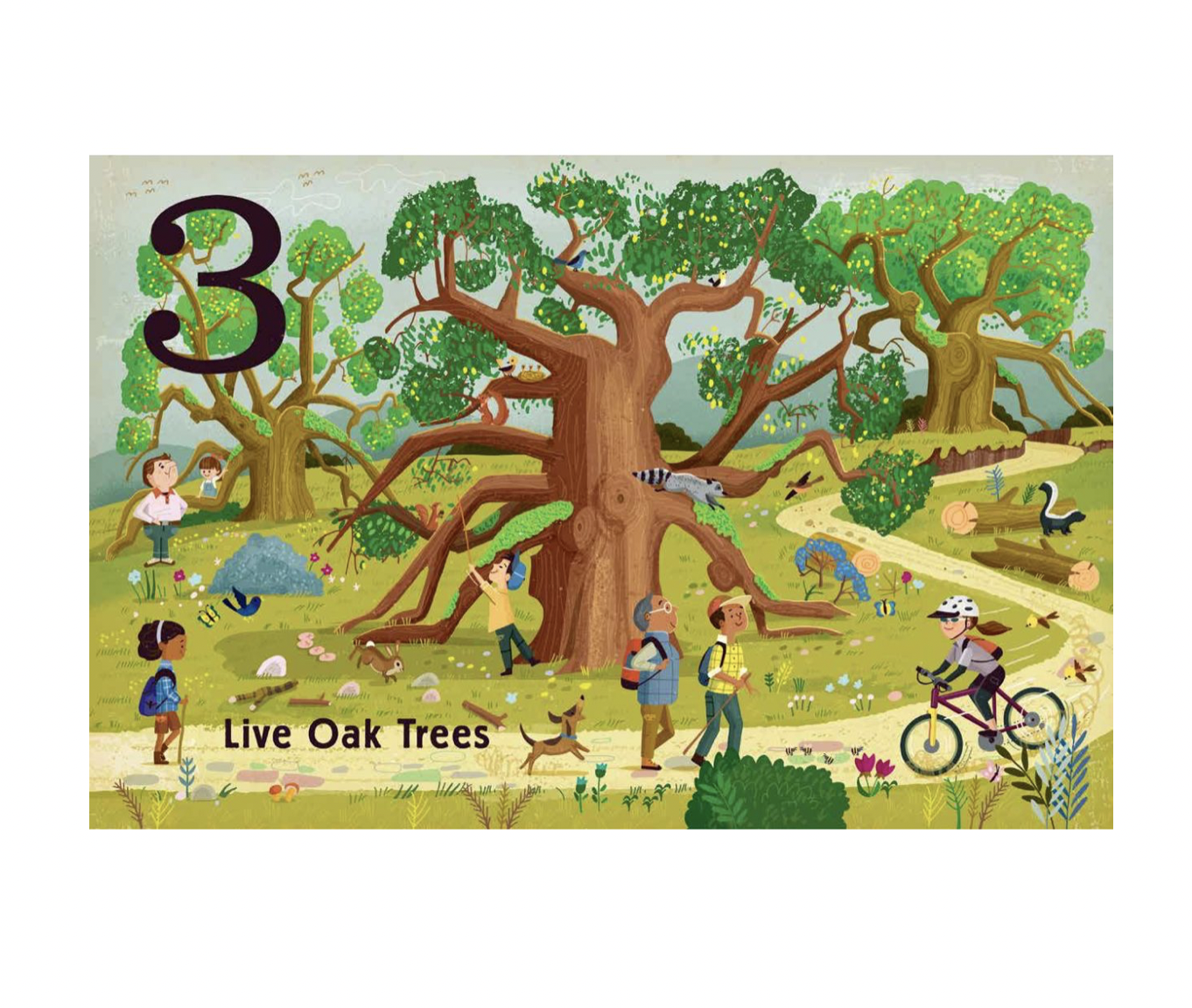 board book - count & find primer - trees by gibbs smith