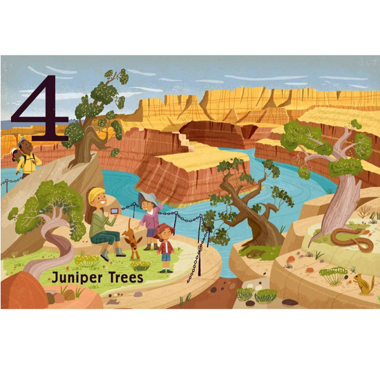 board book - count & find primer - trees by gibbs smith