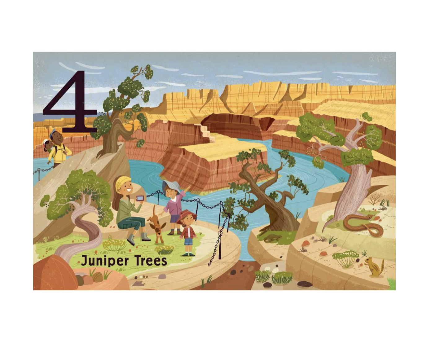 board book - count & find primer - trees by gibbs smith