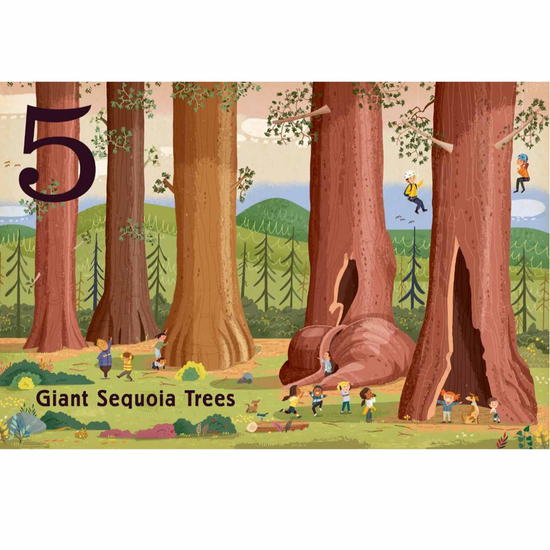 board book - count & find primer - trees by gibbs smith
