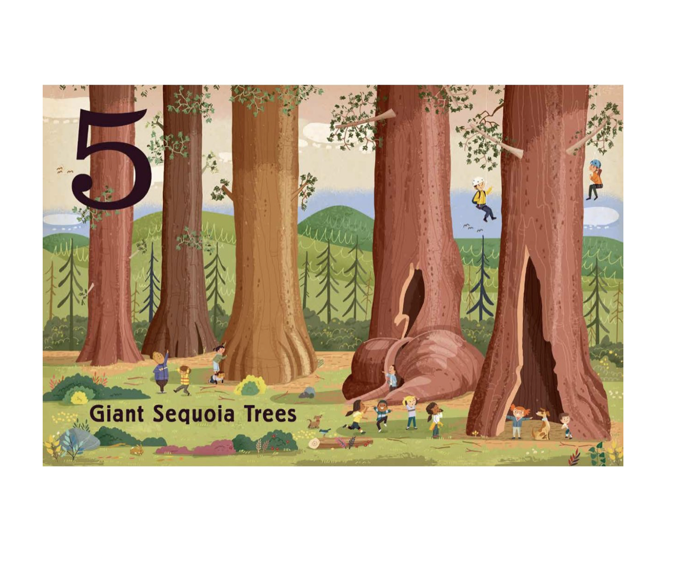 board book - count & find primer - trees by gibbs smith