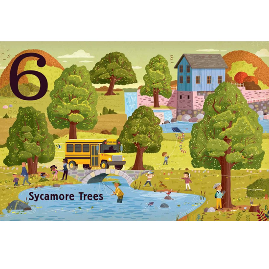 board book - count & find primer - trees by gibbs smith