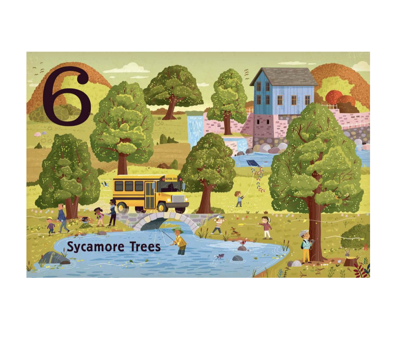 board book - count & find primer - trees by gibbs smith