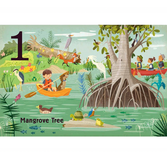 board book - count & find primer - trees by gibbs smith