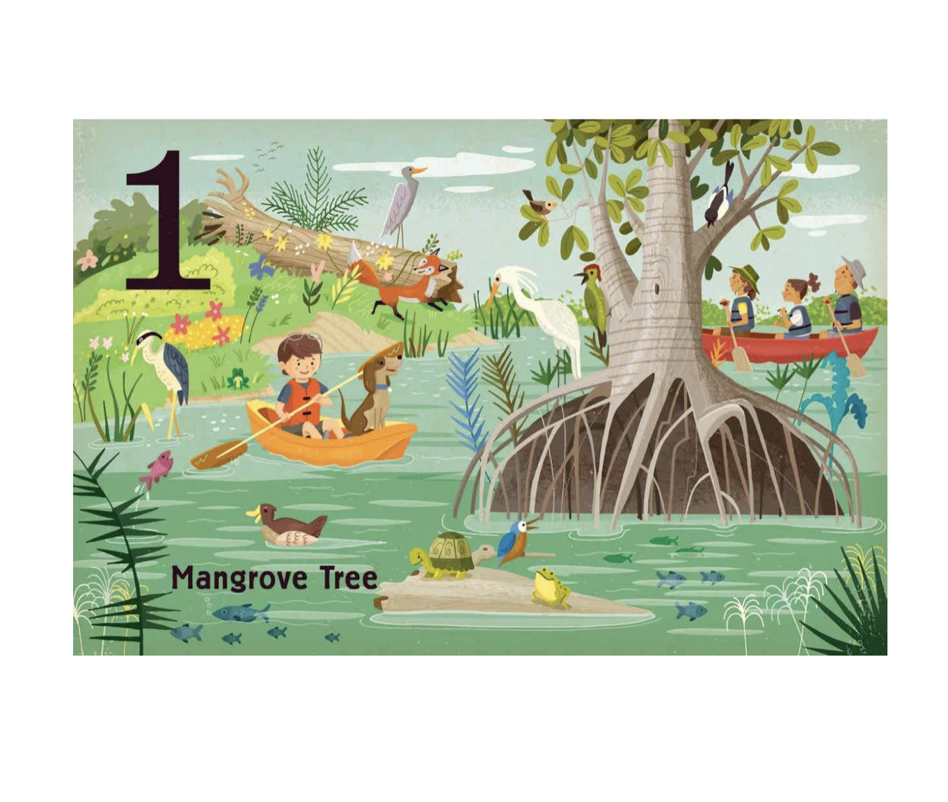 board book - count & find primer - trees by gibbs smith
