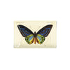 glass tray - decoupage - tropical butterfly by ben's garden