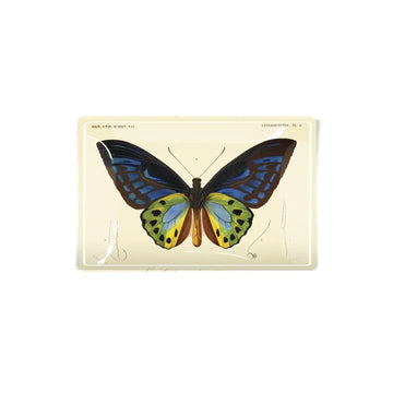 glass tray - decoupage - tropical butterfly by ben's garden