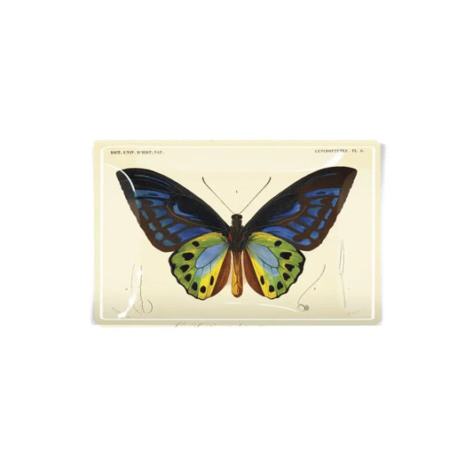 glass tray - decoupage - tropical butterfly by ben's garden