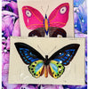 glass tray - decoupage - tropical butterfly by ben's garden
