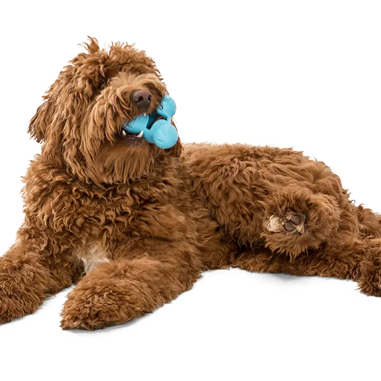 dog toy - tux® by west paw design