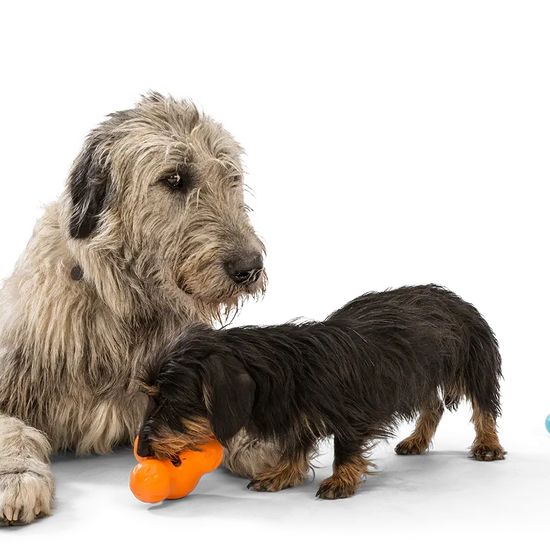 dog toy - tux® by west paw design