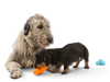 dog toy - tux® by west paw design