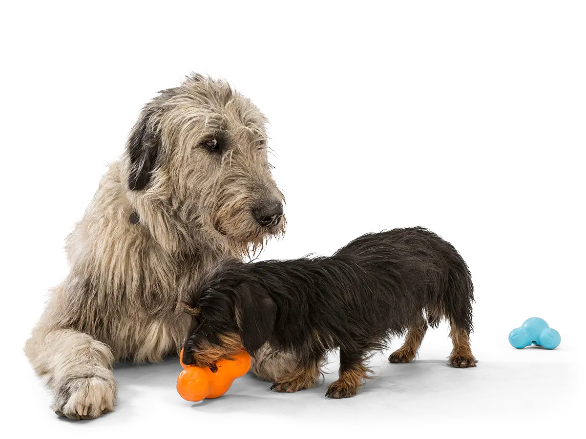dog toy - tux® by west paw design