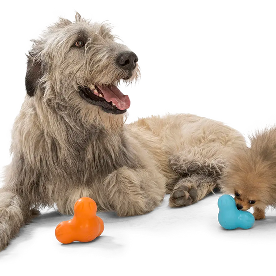 dog toy - tux® by west paw design