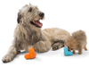 dog toy - tux® by west paw design