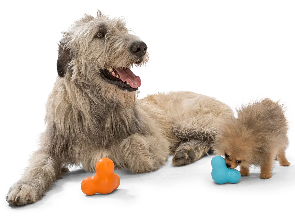 dog toy - tux® by west paw design