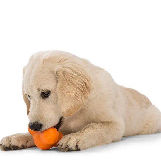 dog toy - tux® by west paw design