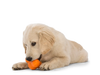 dog toy - tux® by west paw design