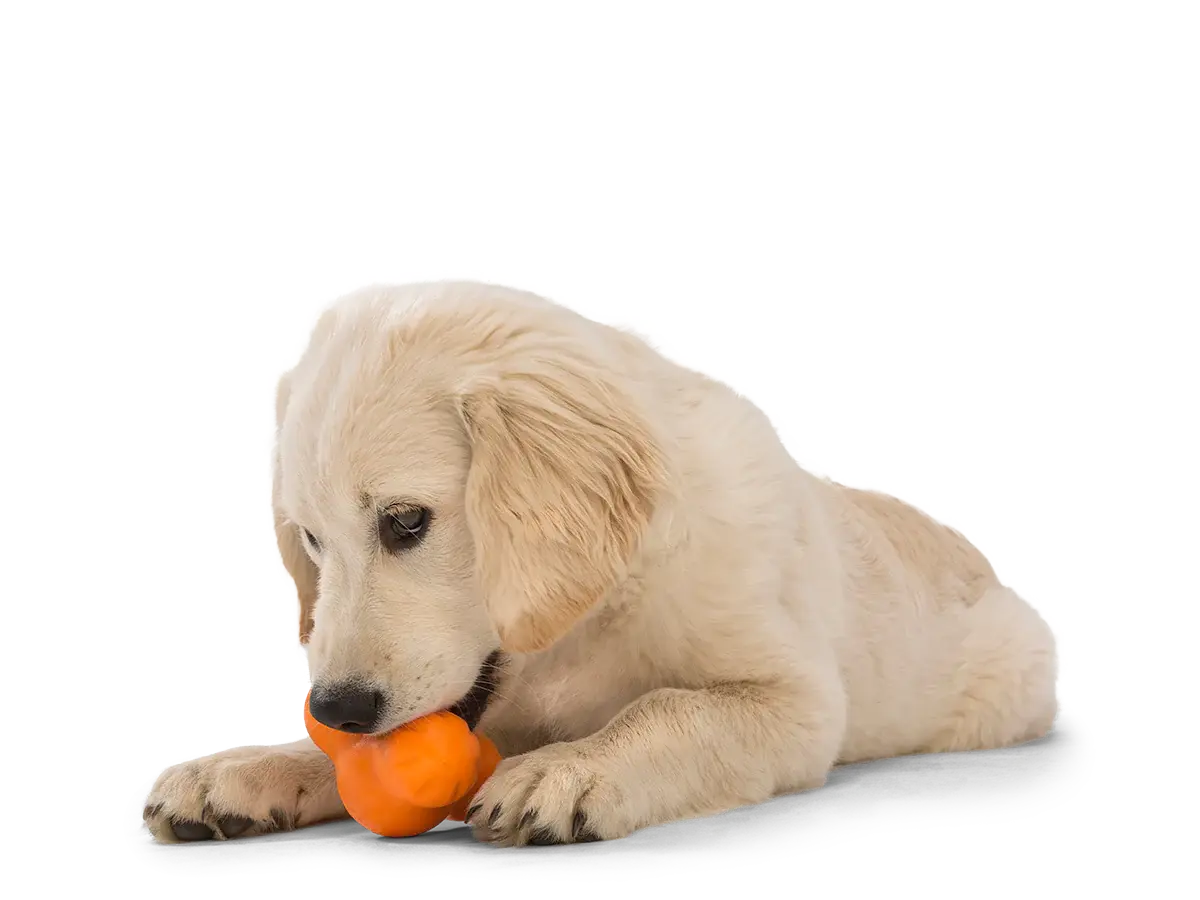 dog toy - tux® by west paw design