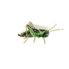 brooch pin - two striped grasshopper by trovelore