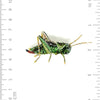 brooch pin - two striped grasshopper by trovelore