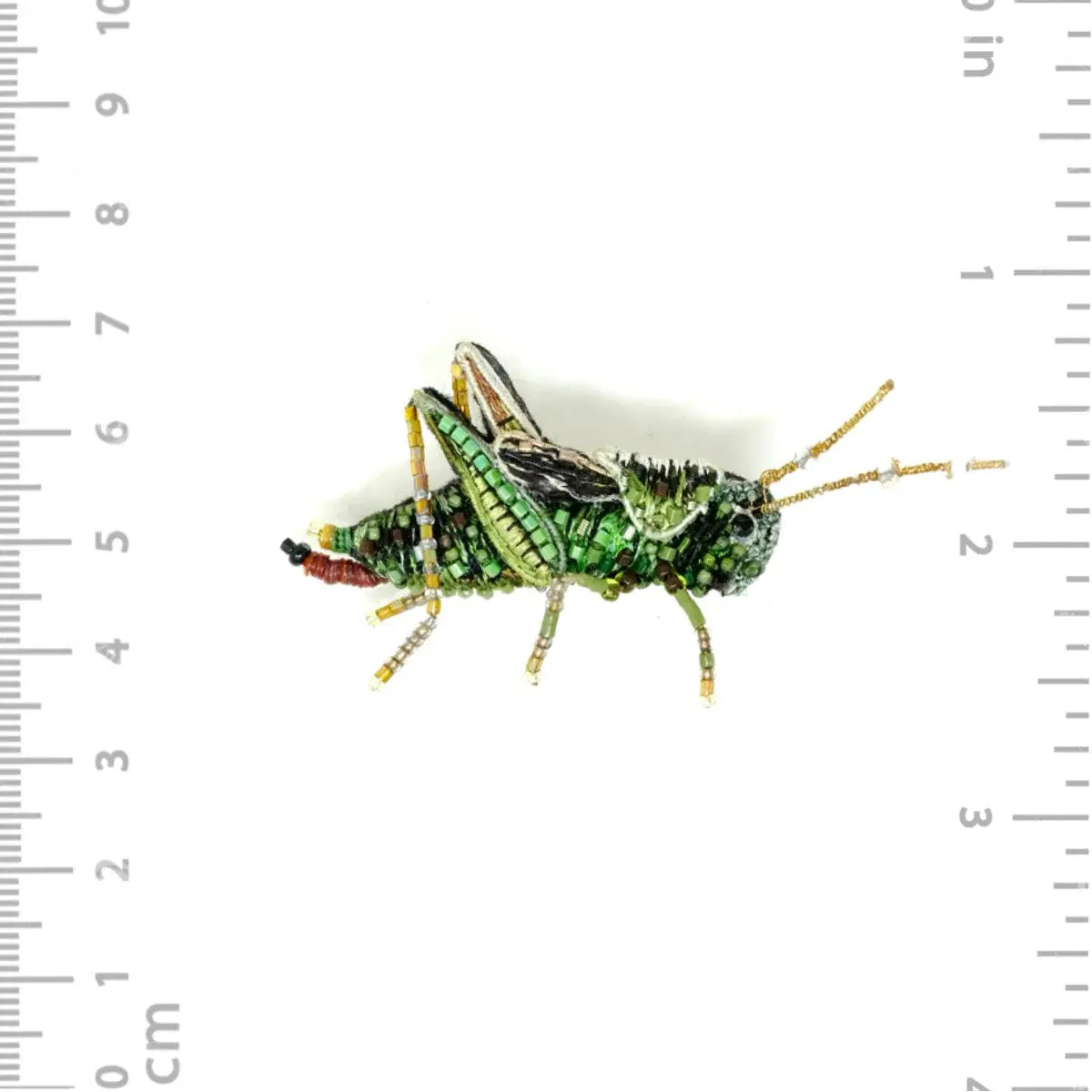 brooch pin - two striped grasshopper by trovelore