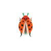 3D Insect Puzzle | Small Beetle |
